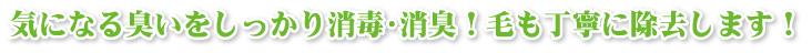 気になる臭いをしっかり消臭!毛も丁寧に除去します!